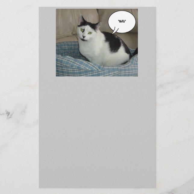 Holla Cat Humour Stationery (Front)