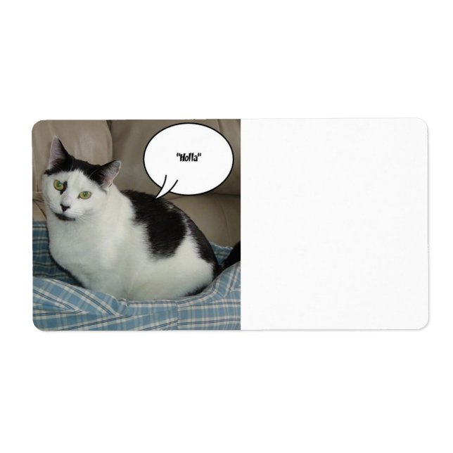 Holla /Raise the Roof! (Front)