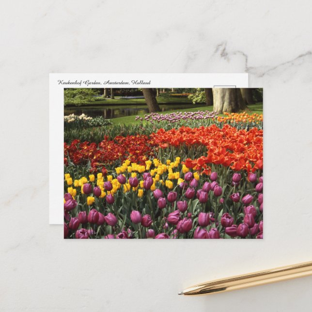 Holland  Keukenhof Postcard (Front/Back In Situ)