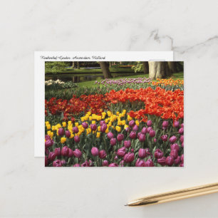 Holland  Keukenhof Postcard