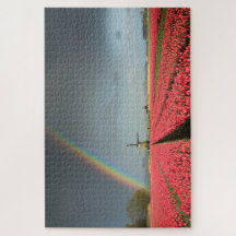 Holland landscape with rainbow, tulips, windmill