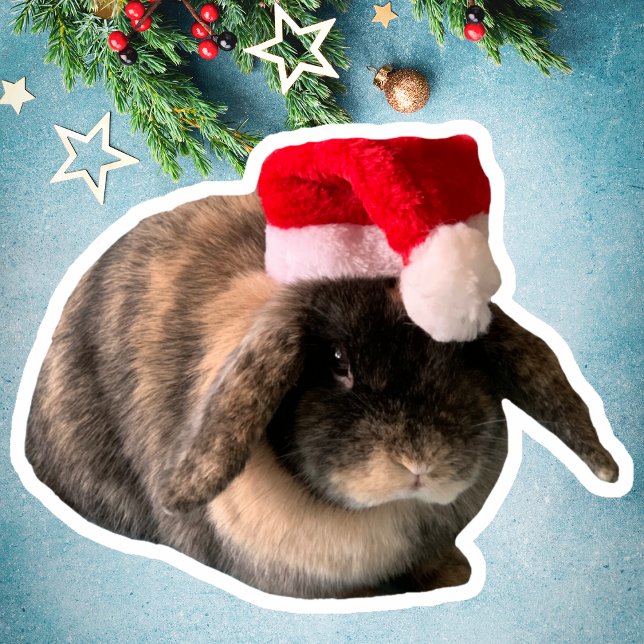 Holland Lop Bunny Daisy Custom Christmas Sticker (Creator Uploaded)
