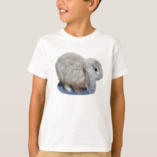 Holland Lop Ear Rabbit Shirts