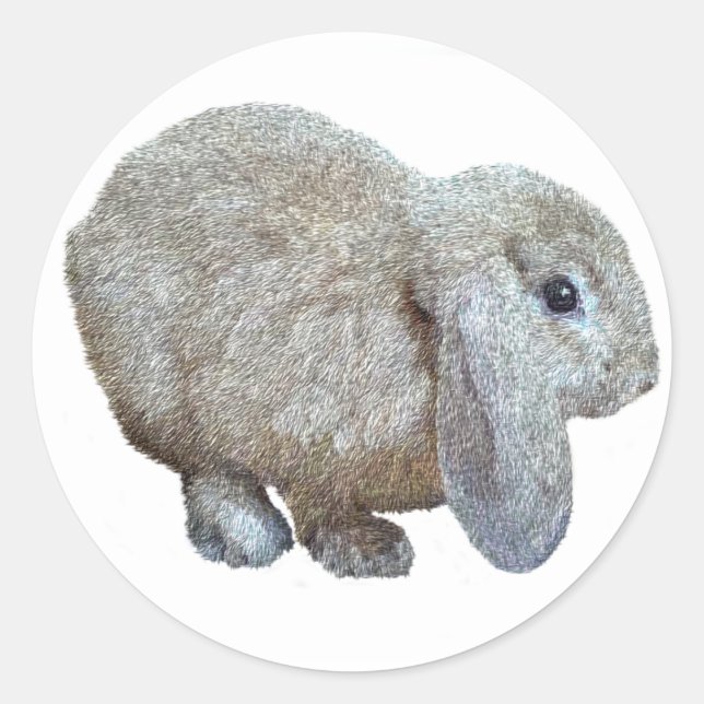 Holland Lop Ear Rabbit Stickers (Front)