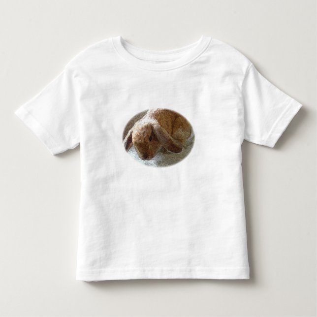 Holland Lop Eared Rabbit Shirts (Front)
