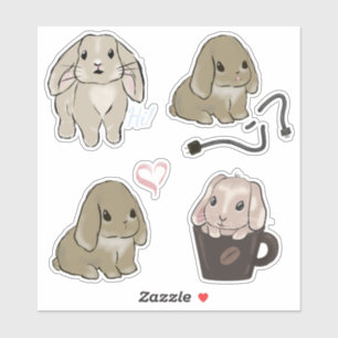 Holland lop Sammlung 