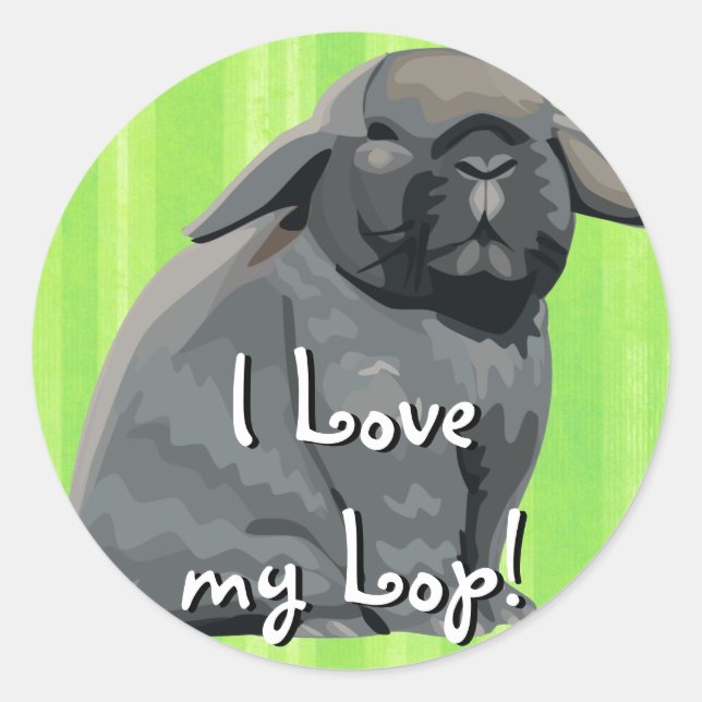 Holland Lop Stickers (Front)