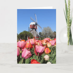 Holland, Michigan, card
