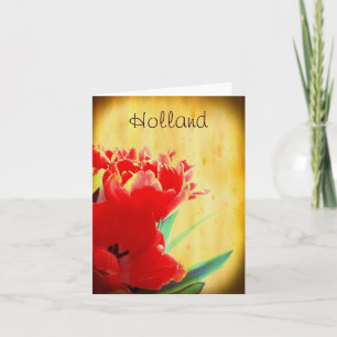 Holland, Orange Tulips Note Card