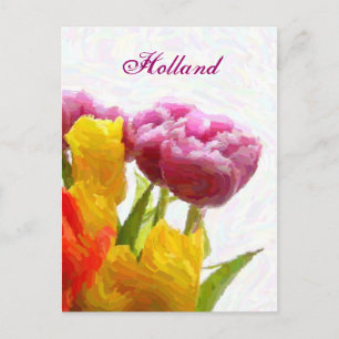Holland,Purple & Yellow Tulips Postcards