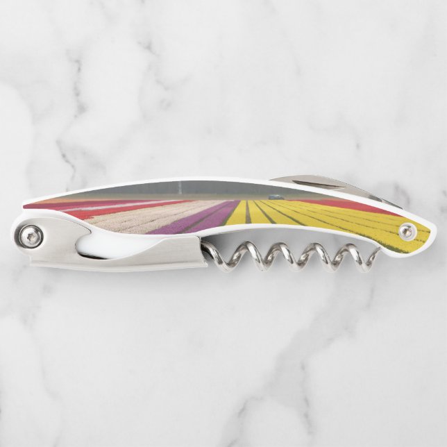 Holland Tulips Field Corkscrew (Front)