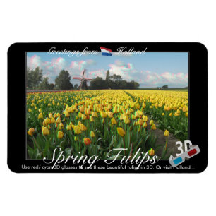 Holland Tulips Landscape 3D View Anaglyph Magnet