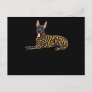Hollandse Herdershond Dutch Shepherd Dog Postcard