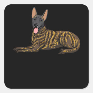 Hollandse Herdershond Dutch Shepherd Dog Square Sticker