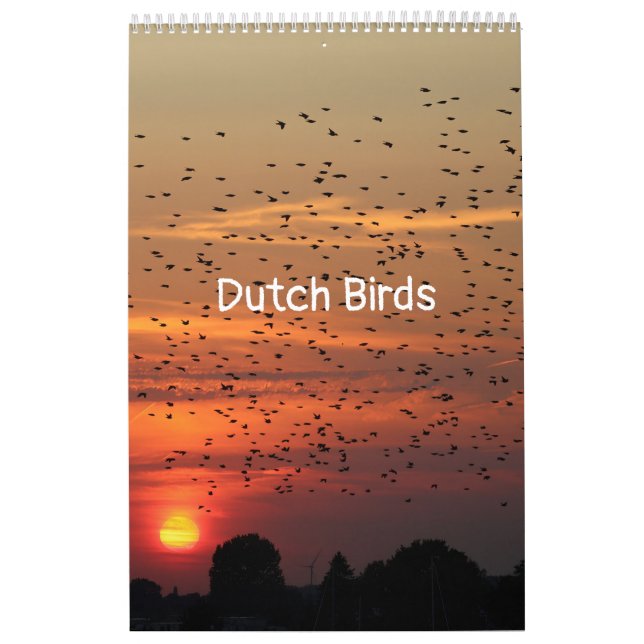 Hollandse vogels Kalender aan te passen Calendar (Cover)