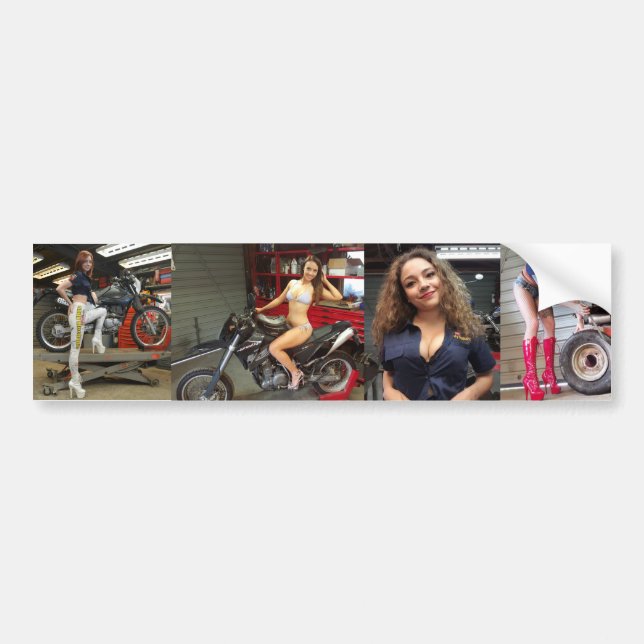 Holley, Harley, Jade & Lilli Toolbox stickers (Front)