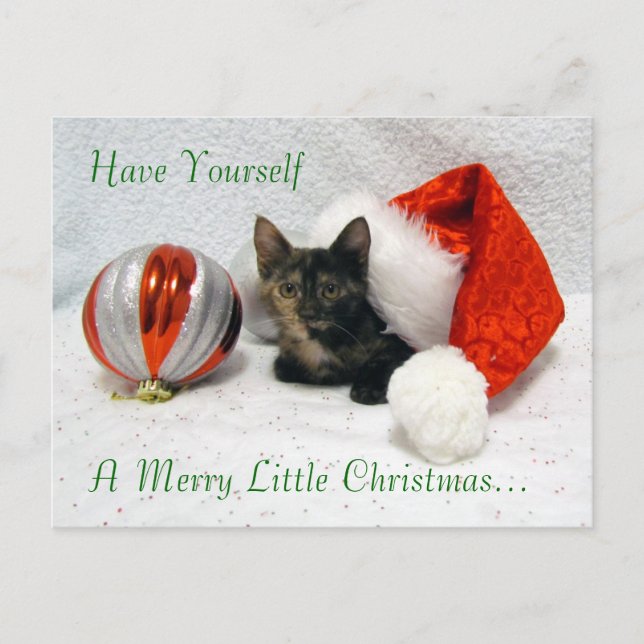 Holley's Christmas Postcard - Cat / Kitten (Front)