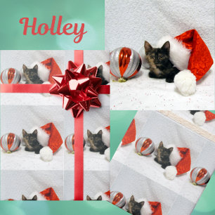 Holley's Christmas - Torti Cat Christmas  Wrapping Paper