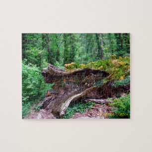 Hollow Log With Houses Puzzle