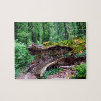 Hollow Log With Houses Puzzle