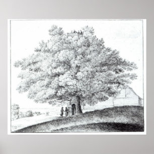 Hollow Tree at Hampstead, 1663 Poster