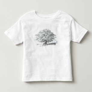 Hollow Tree at Hampstead, 1663 Toddler T-Shirt