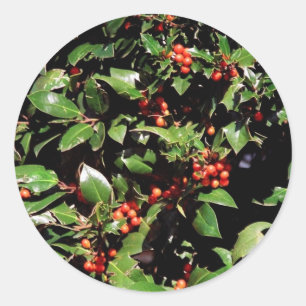 Holly and Berries Stickers
