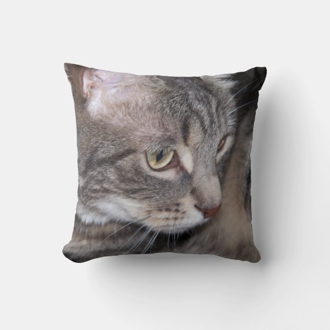 Holly Being Thoughtful Pillow (Front)