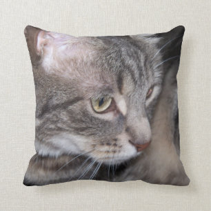 Holly Being Thoughtful Pillow