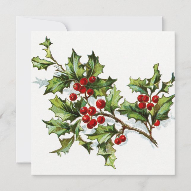 Holly Berries 002 (Front)