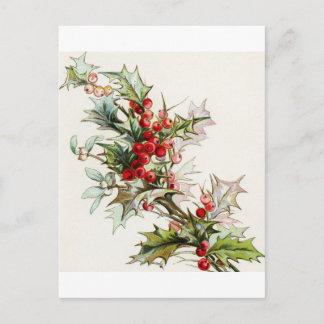 Holly Berries 004 Postcard