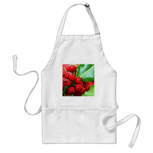 Holly Berries 006 Standard Apron