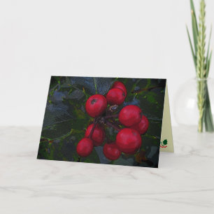 Holly Berries Seasons Greetings Holiday Card