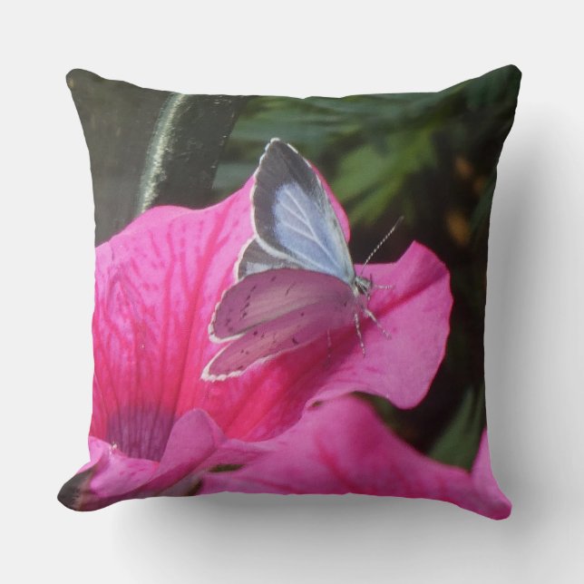Holly Blue Butterfly on Pink Flower Throw Pillow (Front)