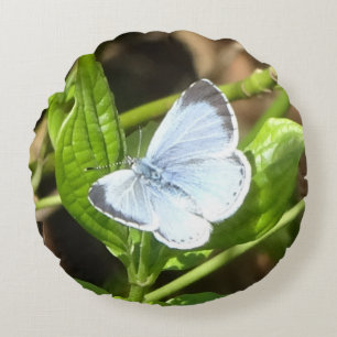 Holly Blue Butterfly Round Pillow