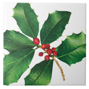 Holly Branch Ceramic Tile