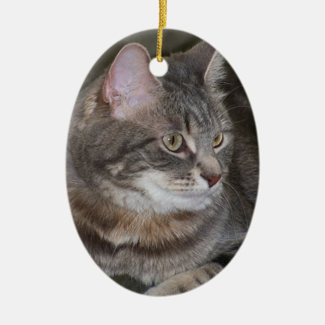 Holly Eyeing Something Ornament (Front)