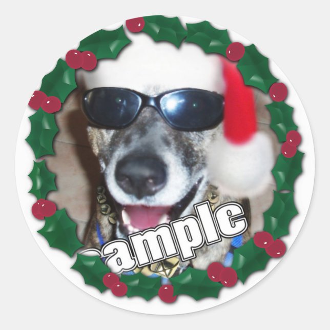 Holly Frame for your Christmas Photo! Classic Round Sticker (Front)