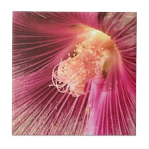 Holly Hock in the Evening Sun Ceramic Tile