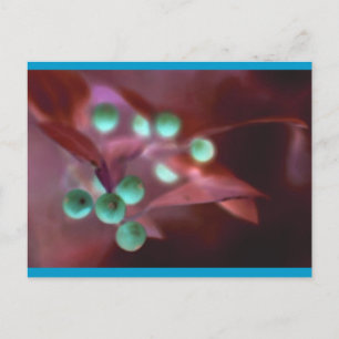 Holly Holiday Postcard