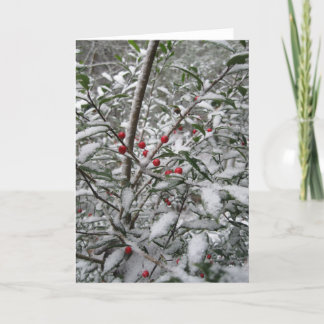 "Holly in the snow" greeting card. Holiday Card