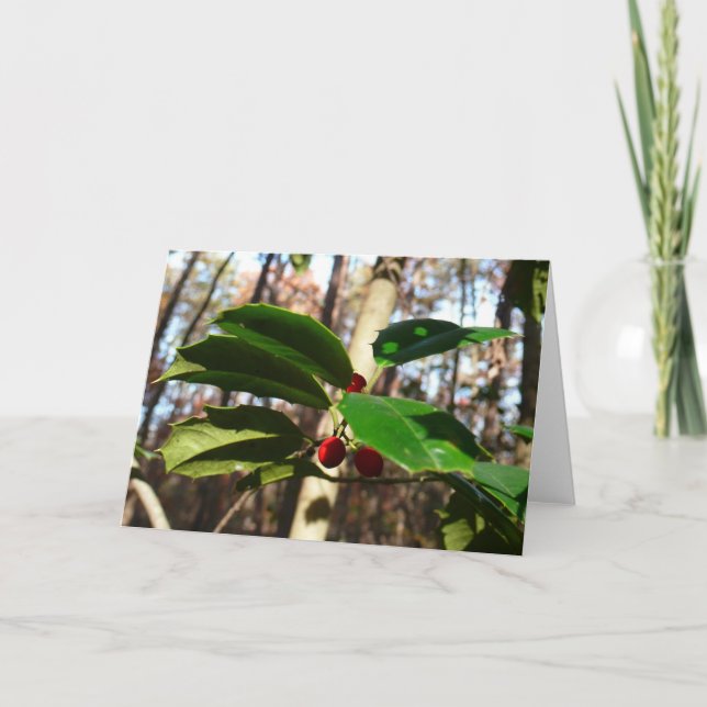 Holly Leaves I Holiday Botanical (Front)