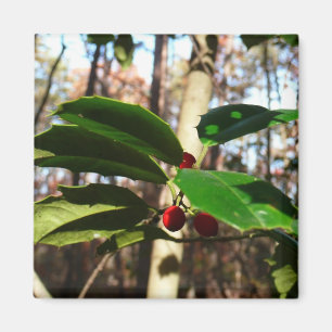 Holly Leaves I Holiday Botanical Magnet