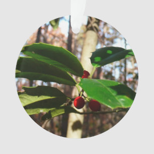 Holly Leaves I Holiday Botanical Ornament