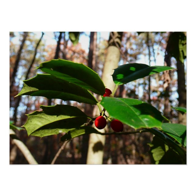 Holly Leaves I Holiday Botanical Poster (Front)