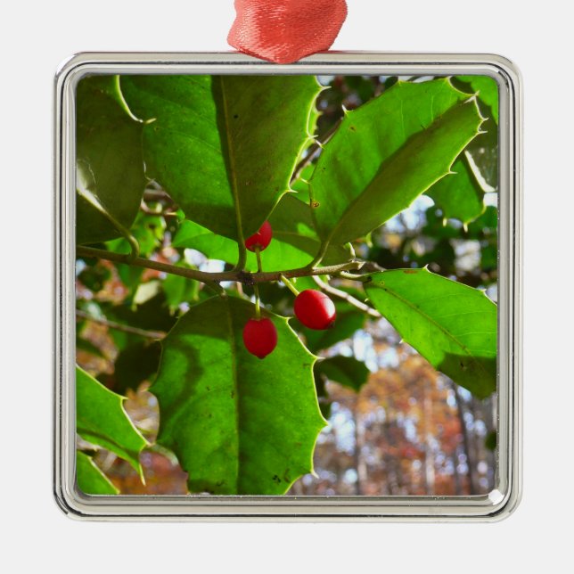 Holly Leaves II Holiday Nature Botanical Metal Ornament (Front)