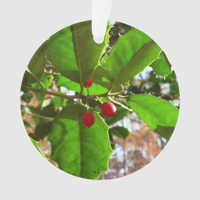 Holly Leaves II Holiday Nature Botanical Ornament (Front)