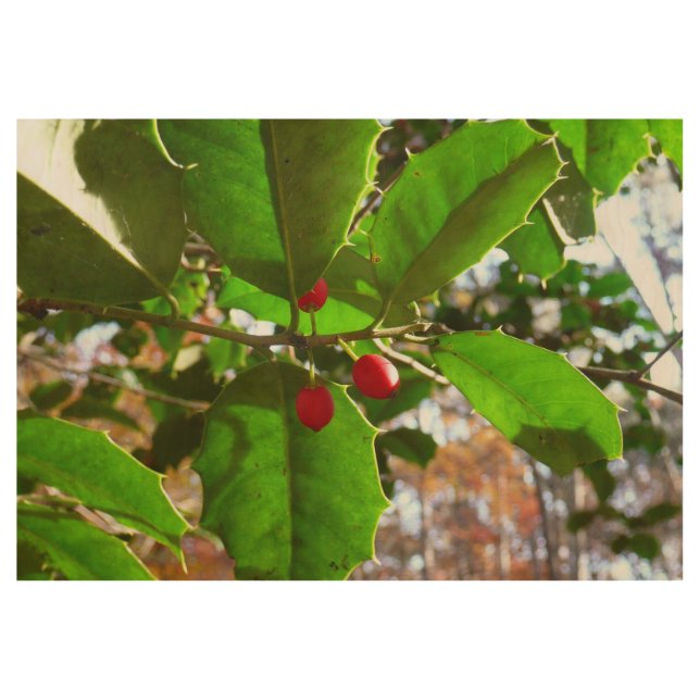 Holly Leaves II Holiday Nature Botanical Wood Poster (Front)