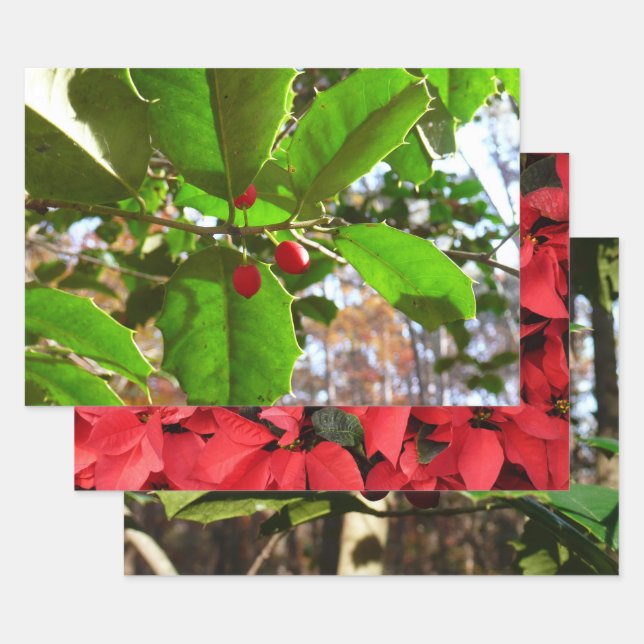 Holly Leaves II Holiday Nature Botanical Wrapping Paper Sheet (Set)