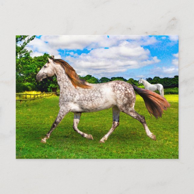 "Holly On The Move" Postcard (Front)